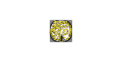 circle