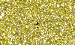 50000 Star Heli (Fixed)
