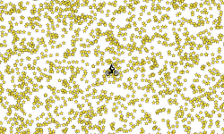 50000 Star Heli