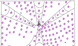 Portal Party Illusion