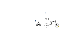 MTB