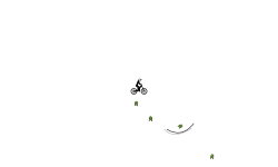 The auto level