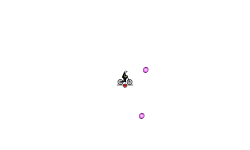 Gravity Loop