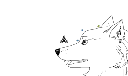 WOLF!!!!!