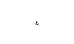 speed (desc.)