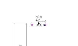 coin flipper   desc