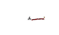 Tiny Bomb Run