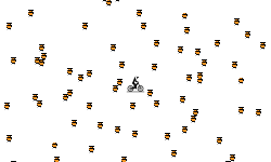 Helicopter