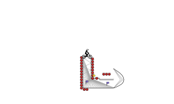 flip(desc)
