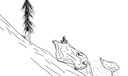 The Wilderness