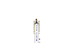 Noob to Pro (desc)
