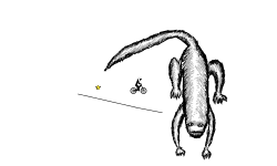 little lizard