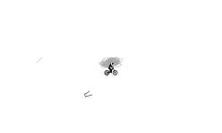 Algorithm Test