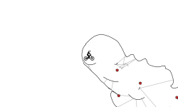 ８ｆｏｌｌｏｗｅｒｓ