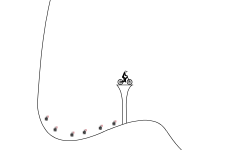 Jumps