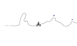 mtb trial