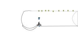 flying sperm