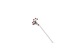 TOSS!