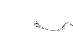 scribbles
