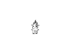 A Cow