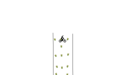 weeeeeeeee