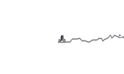 test (autogen)
