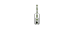 The syringe