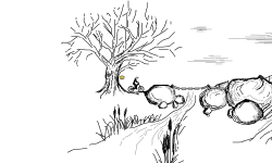 nature ride