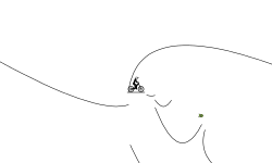 a=egg opp