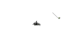 holdup bmx glitch