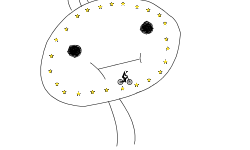 Derp Kid