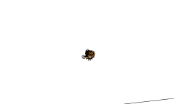 Flyyyyyyyyyyyyyyyyyyyyyyyyyyyy