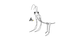 ant.