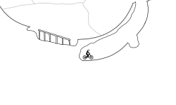 Mountain Fun