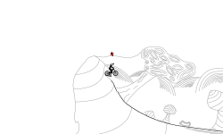 Contest Entry(Desc.)