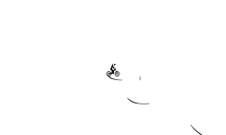 Flips n' Wheelies: BMX Edition