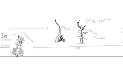 Drawing Trees