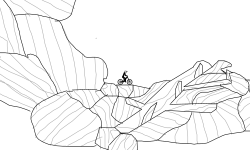 Rocks!