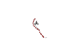 Wheelie