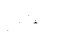 spin auto