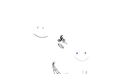 faces