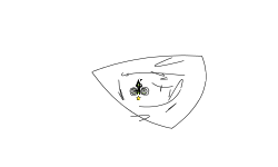 1 star