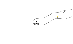 preview of cave run