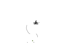 good wheelie
