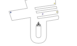 Trail