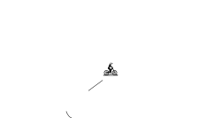 spin and din
