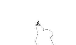 down the mountain