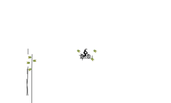 #13 fast auto mtb