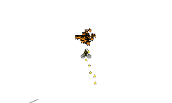 Bike or helicopter