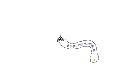 Challenge 1